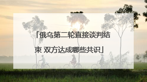 俄乌第二轮直接谈判结束 双方达成哪些共识