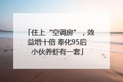 住上“空调房”，效益增十倍 奉化95后小伙养虾有一套