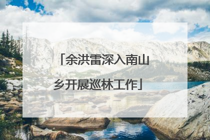 余洪雷深入南山乡开展巡林工作