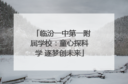 临汾一中第一附属学校：童心探科学 逐梦创未来