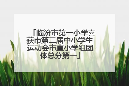 临汾市第一小学喜获市第二届中小学生运动会市直小学组团体总分第一