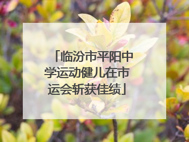 临汾市平阳中学运动健儿在市运会斩获佳绩