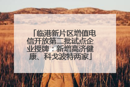 临港新片区增值电信开放第二批试点企业授牌：新增高济健康、科戈波特两家