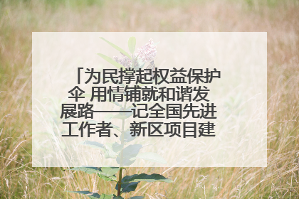 为民撑起权益保护伞 用情铺就和谐发展路——记全国先进工作者、新区项目建设中心干部卢小勇