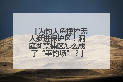 为钓大鱼操控无人艇进保护区！洞庭湖禁捕区怎么成了“垂钓场”？
