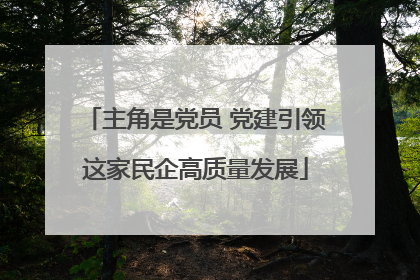主角是党员 党建引领这家民企高质量发展