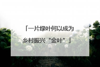 一片绿叶何以成为乡村振兴“金叶”