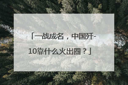 一战成名，中国歼-10靠什么火出圈？