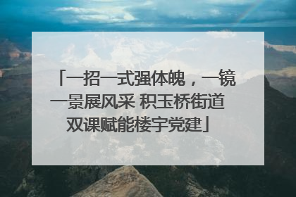 一招一式强体魄，一镜一景展风采 积玉桥街道双课赋能楼宇党建