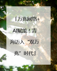万兆网络+AI赋能！青海迈入“双万兆”时代