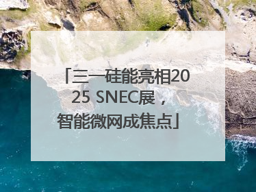 三一硅能亮相2025 SNEC展，智能微网成焦点
