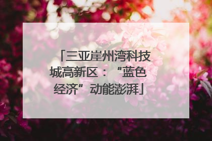 三亚崖州湾科技城高新区：“蓝色经济”动能澎湃