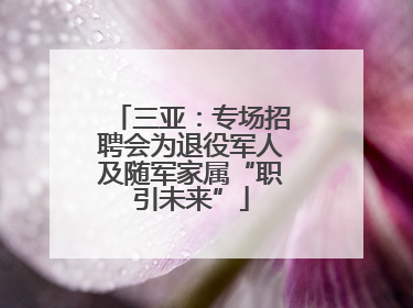 三亚：专场招聘会为退役军人及随军家属“职引未来”