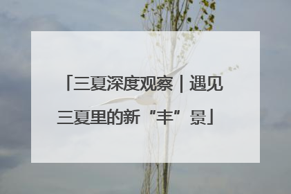 三夏深度观察｜遇见三夏里的新“丰”景