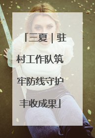 三夏｜驻村工作队筑牢防线守护丰收成果