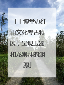 上博举办红山文化考古特展，呈现玉器和龙崇拜的渊源
