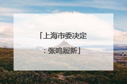 上海市委决定：张鸣履新