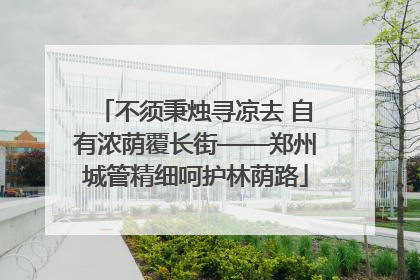 不须秉烛寻凉去 自有浓荫覆长街——郑州城管精细呵护林荫路