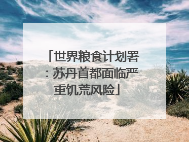 世界粮食计划署：苏丹首都面临严重饥荒风险