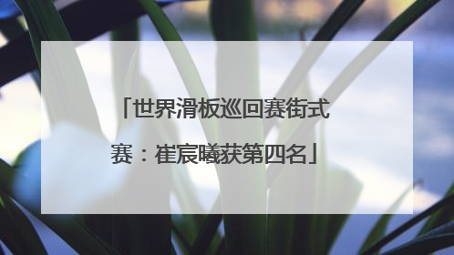 世界滑板巡回赛街式赛：崔宸曦获第四名