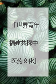 世界青年福建共探中医药文化