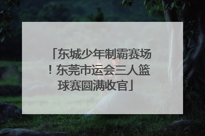 东城少年制霸赛场！东莞市运会三人篮球赛圆满收官