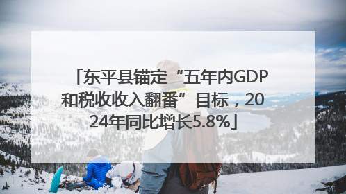 东平县锚定“五年内GDP和税收收入翻番”目标，2024年同比增长5.8%