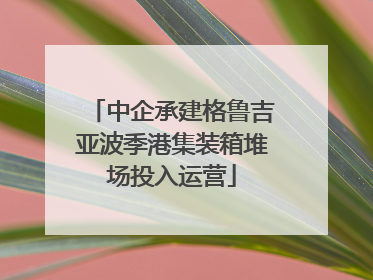 中企承建格鲁吉亚波季港集装箱堆场投入运营