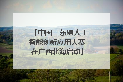 中国—东盟人工智能创新应用大赛在广西北海启动