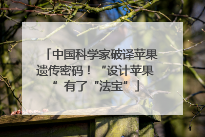 中国科学家破译苹果遗传密码！“设计苹果”有了“法宝”