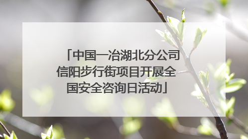 中国一冶湖北分公司信阳步行街项目开展全国安全咨询日活动