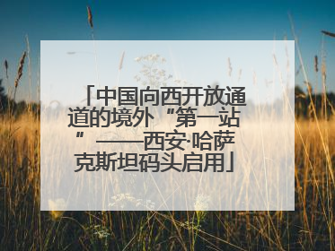 中国向西开放通道的境外“第一站”——西安·哈萨克斯坦码头启用