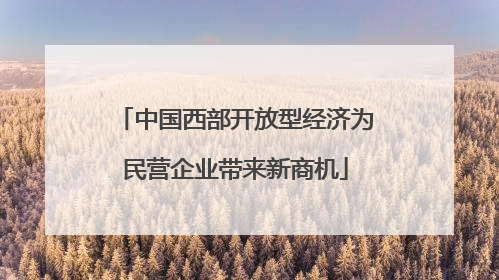 中国西部开放型经济为民营企业带来新商机