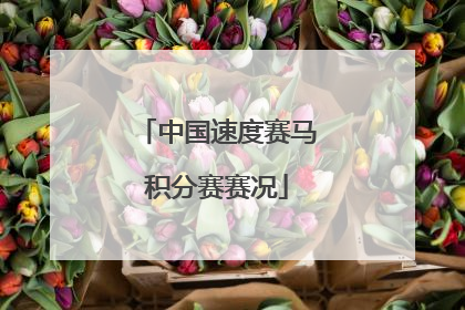 中国速度赛马积分赛赛况