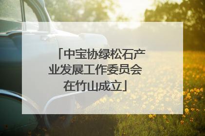中宝协绿松石产业发展工作委员会在竹山成立