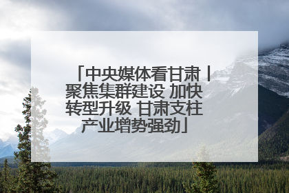 中央媒体看甘肃丨聚焦集群建设 加快转型升级 甘肃支柱产业增势强劲