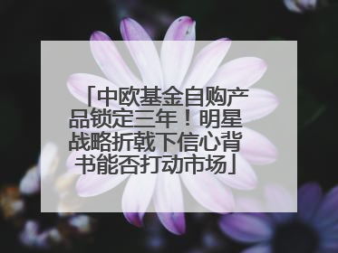 中欧基金自购产品锁定三年！明星战略折戟下信心背书能否打动市场