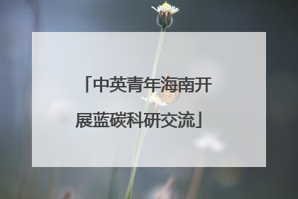 中英青年海南开展蓝碳科研交流