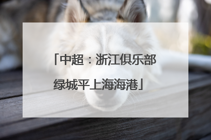 中超：浙江俱乐部绿城平上海海港