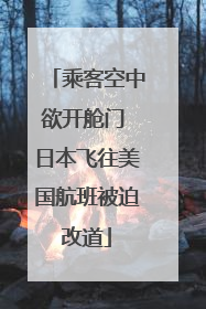 乘客空中欲开舱门 日本飞往美国航班被迫改道