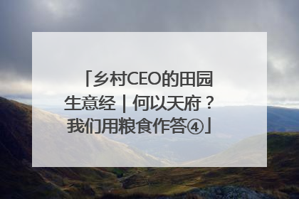 乡村CEO的田园生意经｜何以天府？我们用粮食作答④