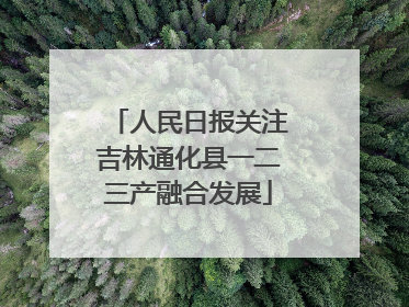 人民日报关注吉林通化县一二三产融合发展