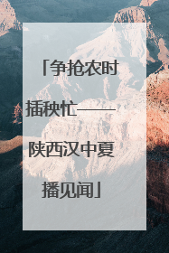 争抢农时插秧忙——陕西汉中夏播见闻