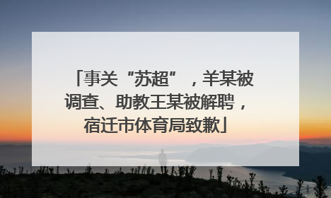 事关“苏超”，羊某被调查、助教王某被解聘，宿迁市体育局致歉