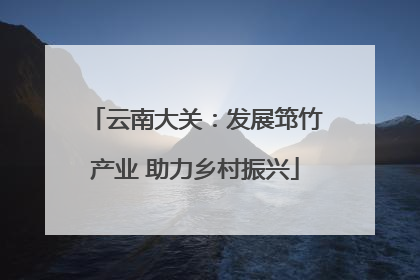 云南大关：发展筇竹产业 助力乡村振兴