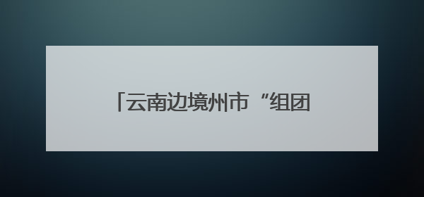 云南边境州市“组团”招商 边民互市落地加工成投资热点