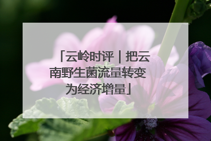 云岭时评｜把云南野生菌流量转变为经济增量