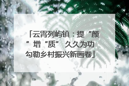 云霄列屿镇：提“颜”增“质” 久久为功勾勒乡村振兴新画卷