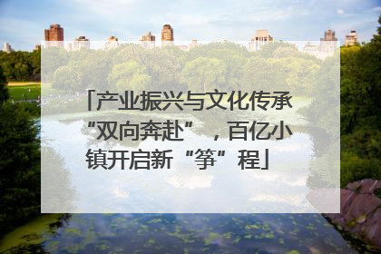产业振兴与文化传承“双向奔赴”，百亿小镇开启新“筝”程