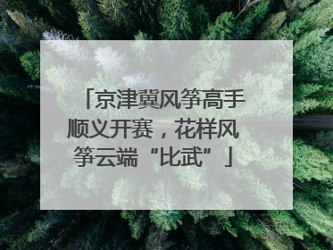 京津冀风筝高手顺义开赛，花样风筝云端“比武”